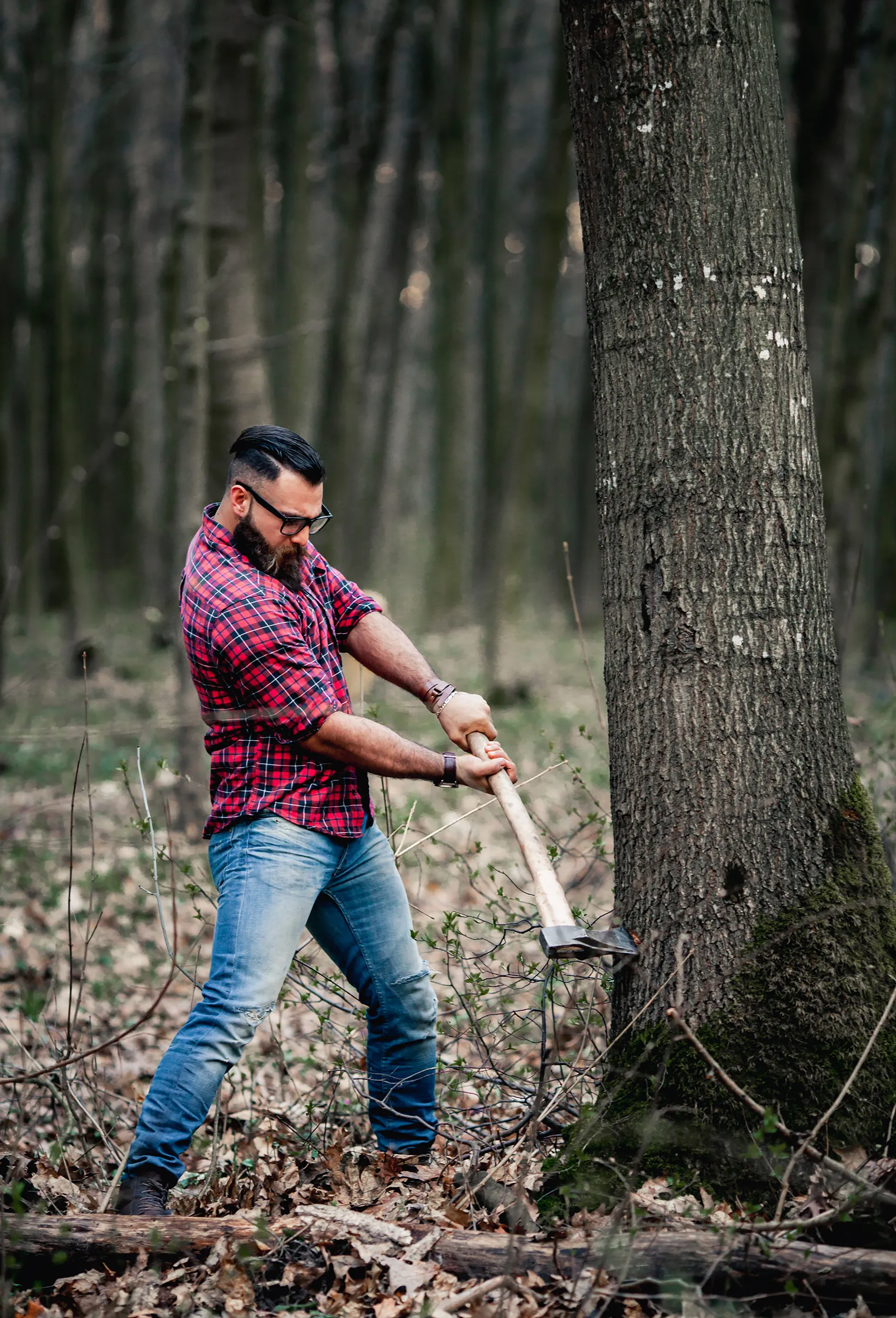 Cutting Down a Tree​ 1