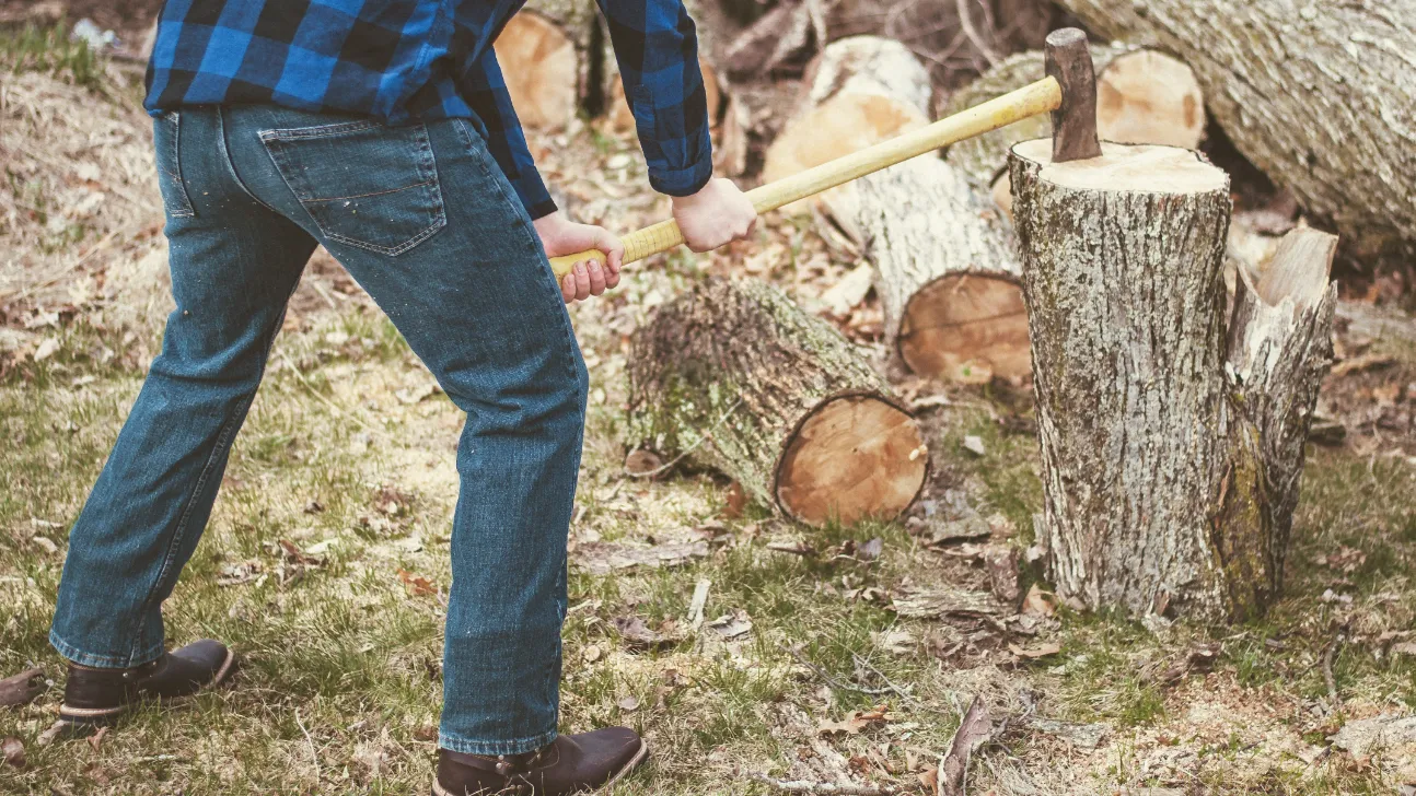 Stump Removal Services Carried Out by Experts 2